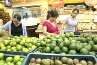Japan to absorb more Vietnamese farm produce